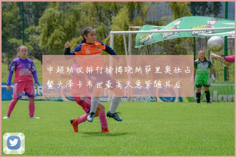 中超助攻排行榜揭晓纳萨里奥独占鳌头泽卡韦世豪高天意紧随其后
