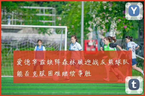 爱德华兹缺阵森林狼迎战灰熊球队能否克服困难继续争胜
